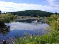 WetLandCanoeOn02