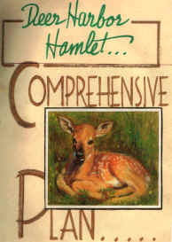 Deer Harbor Hamlet Comprehensive Plan