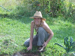 Organic Gardener Satia